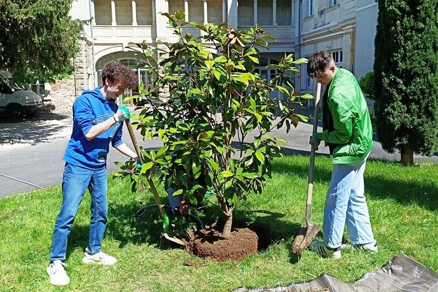 Les plantations de 2G